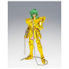 Virgo shun inheritor of the gold
