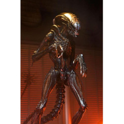 Ultimate scorched xenomorph scale action fig