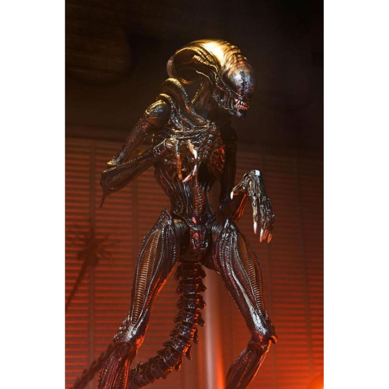 Ultimate scorched xenomorph scale action fig