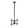Soporte techo tooq vesa hasta 75 pulgadas