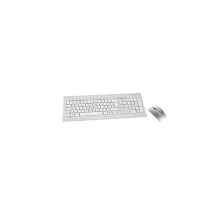 Teclado raton cherry dw 8000