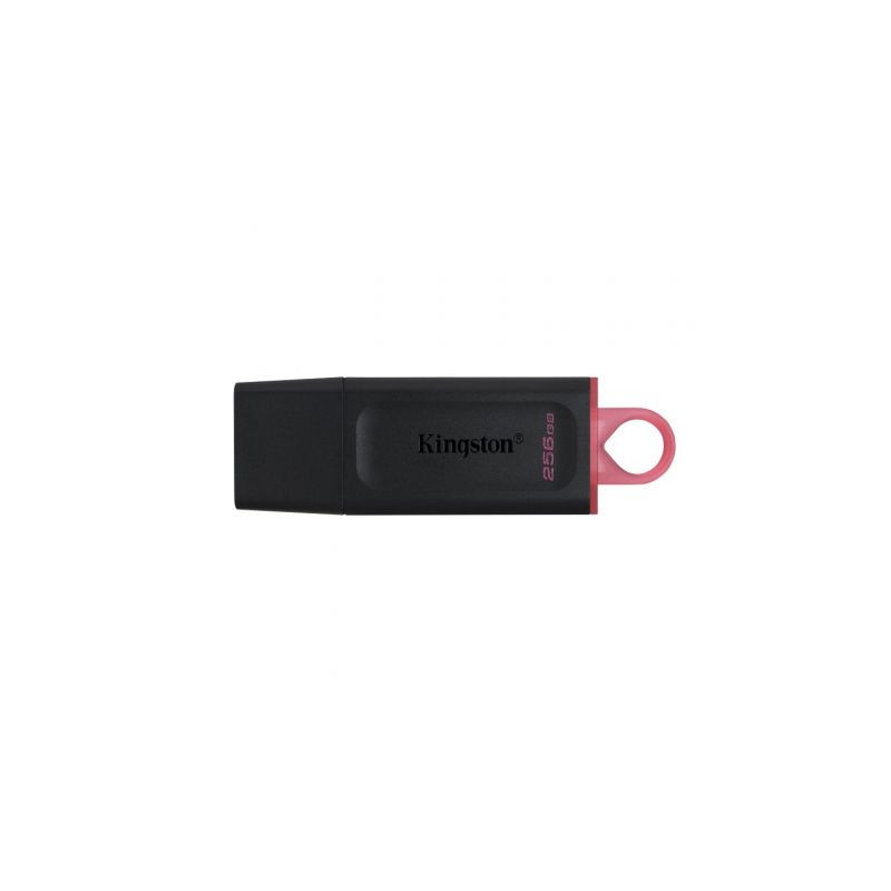 Memoria usb 32 kingston 256 gb