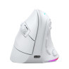 Mouse raton mars gaming ergonomico verticalrgb