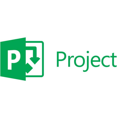 Microsoft project standard 2024 esd descarga