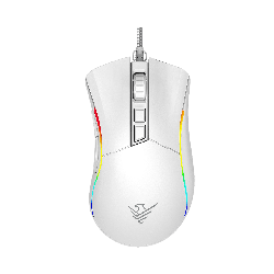 Raton phoenix gaming void 12000 dpi