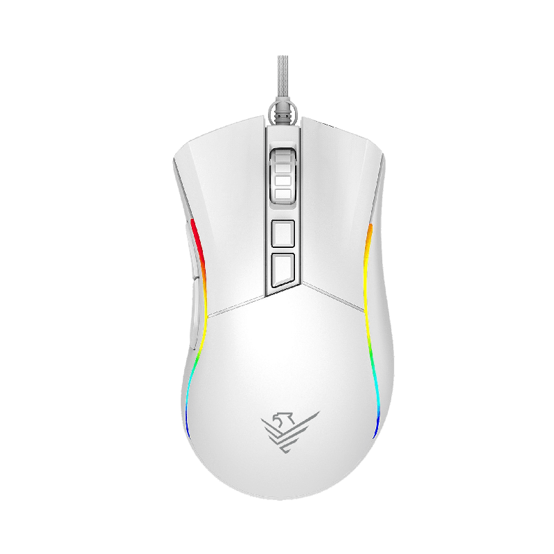 Raton phoenix gaming void 12000 dpi