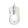 Raton phoenix gaming void 12000 dpi