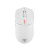 Raton inalambrico gaming genesis zircon 500