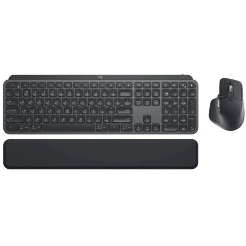 Teclado raton logitech mx keys