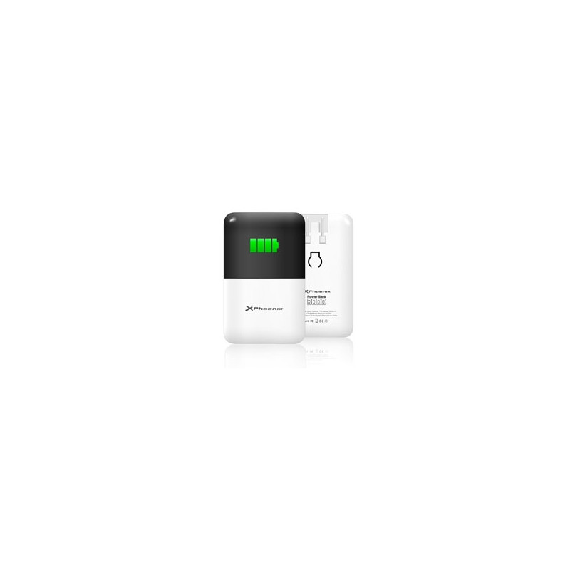 Cargador ac bateria portatil 2