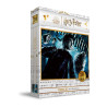 Puzzle 100 efecto 3d poster harry