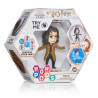 Wow pod wizarding world sirius